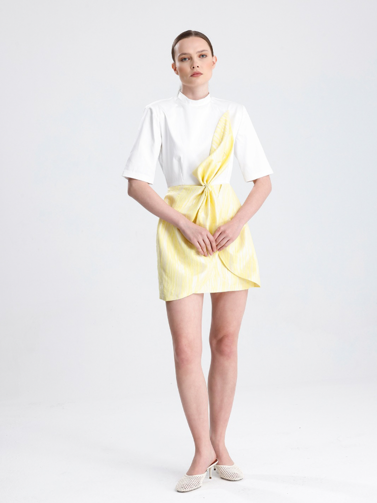 Mini Dress